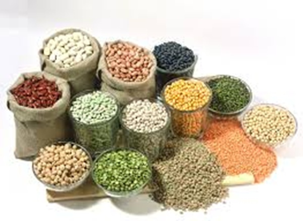 Premium Grains